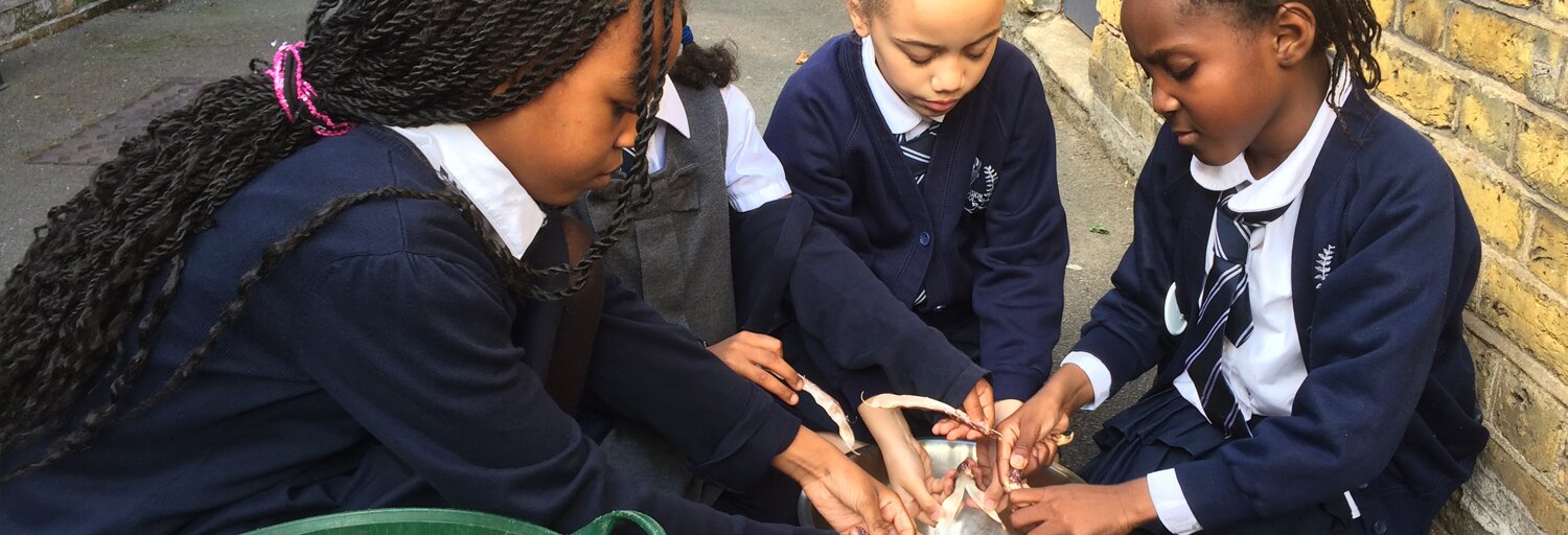 Food Growing Schools London